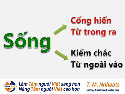 Ứng dụng xem kết quả đua chó nhanh nhất